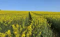 Property image gallery