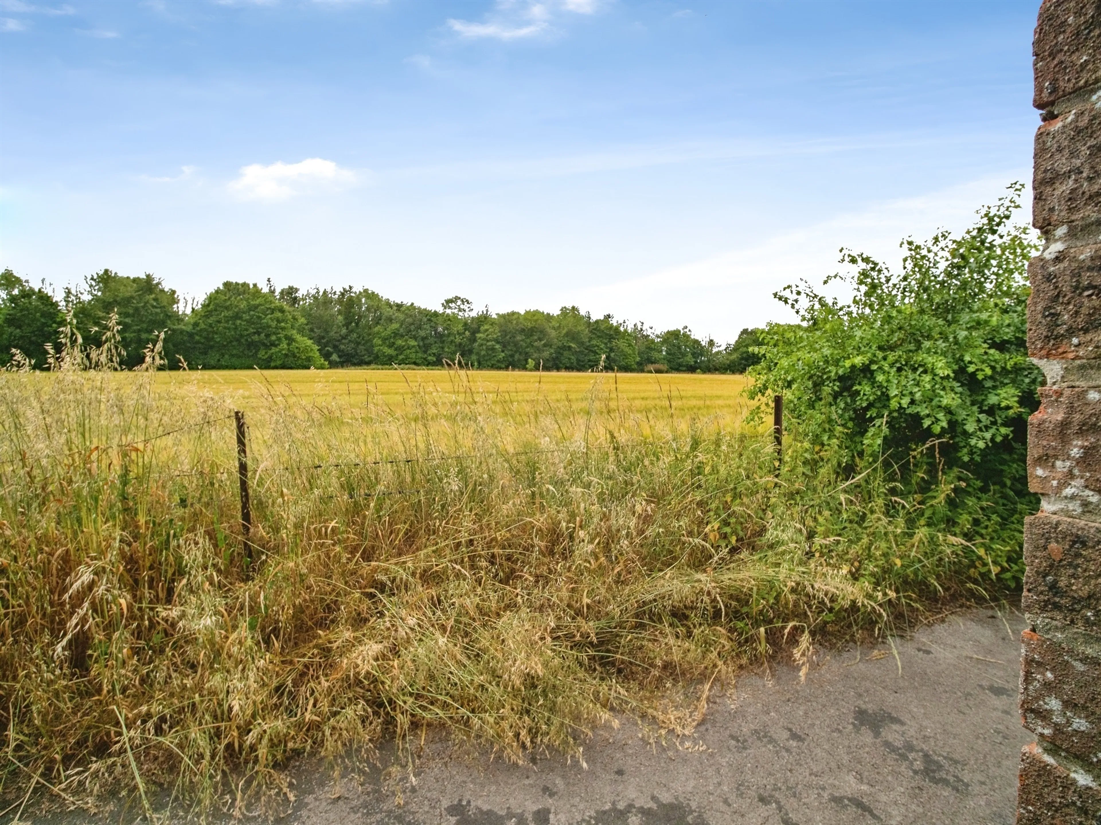 Property photo 19
