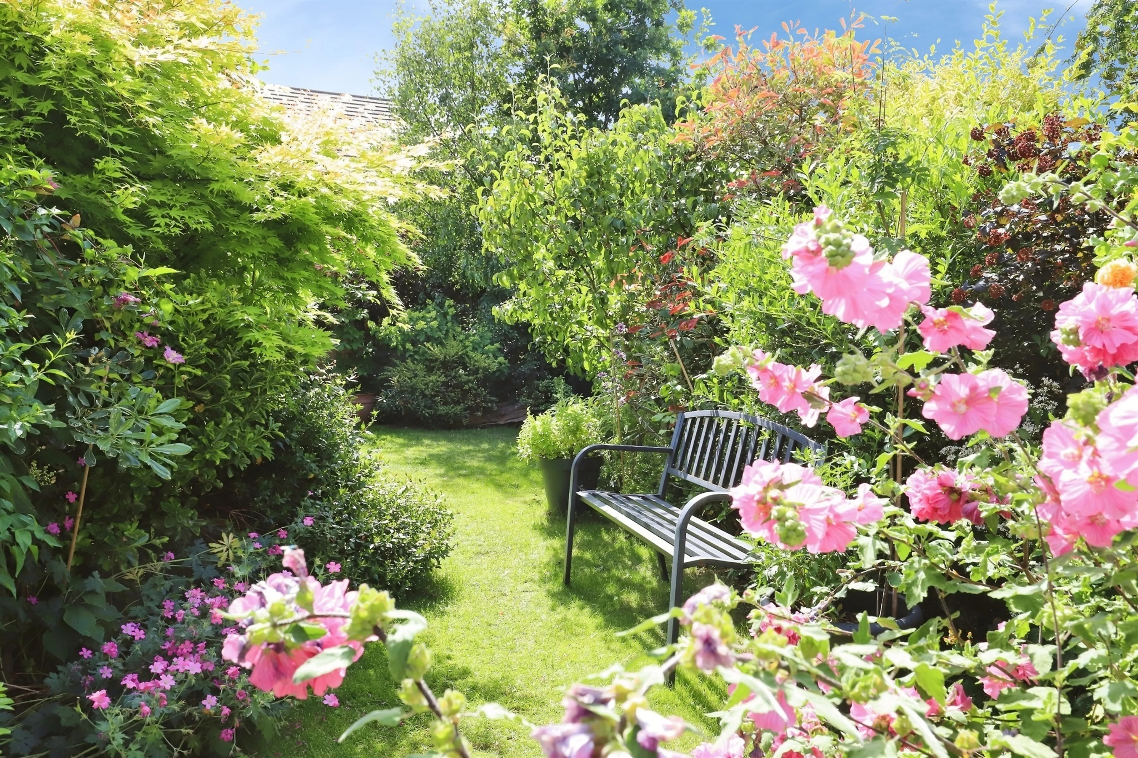 Property photo 19