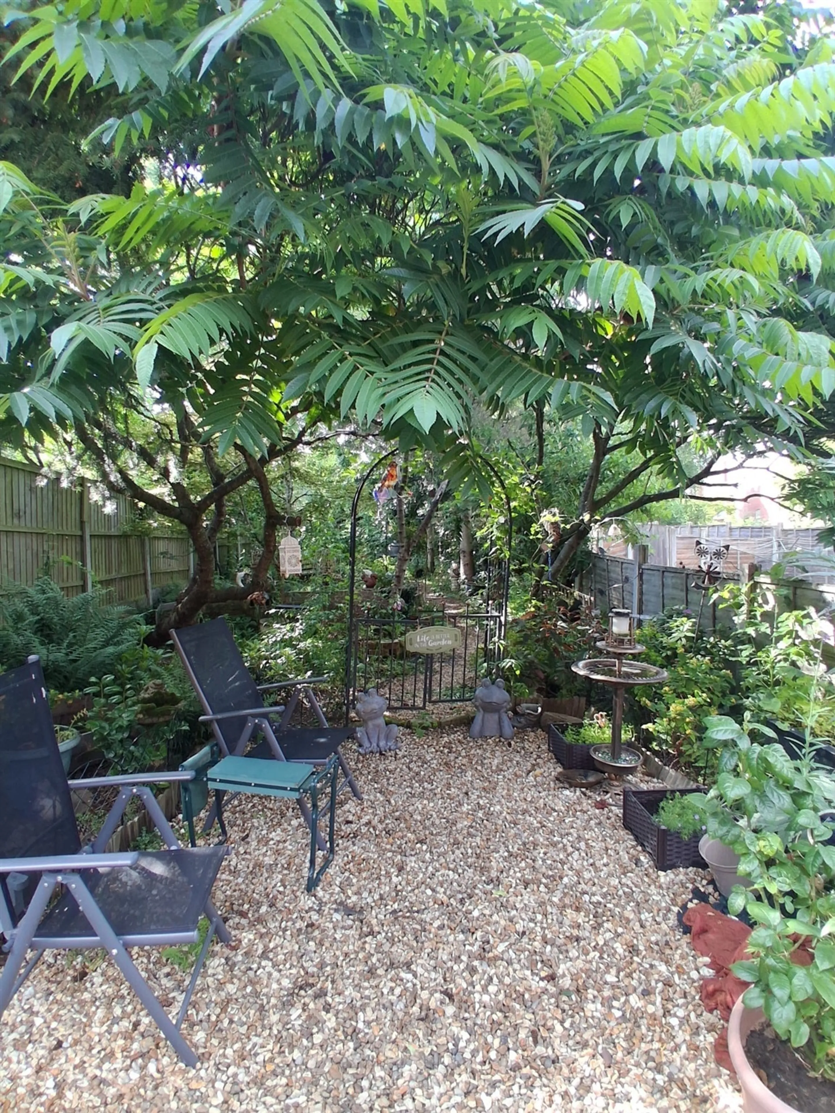 Property photo 19