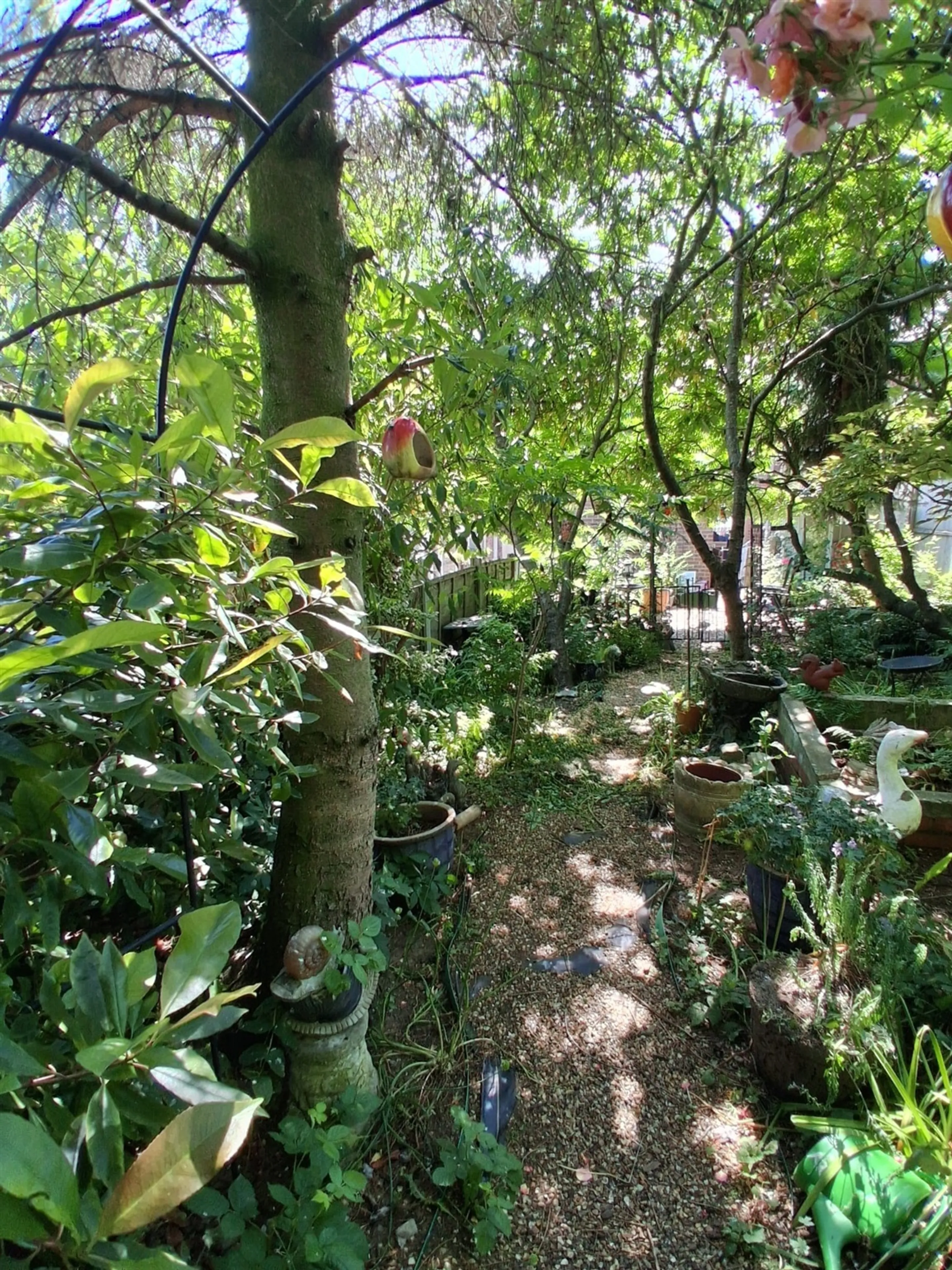 Property photo 21