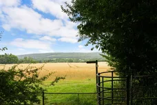 Roffey Park Colgate RH12 photo 8