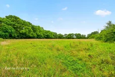 Rusper Road, Newdigate, Dorking