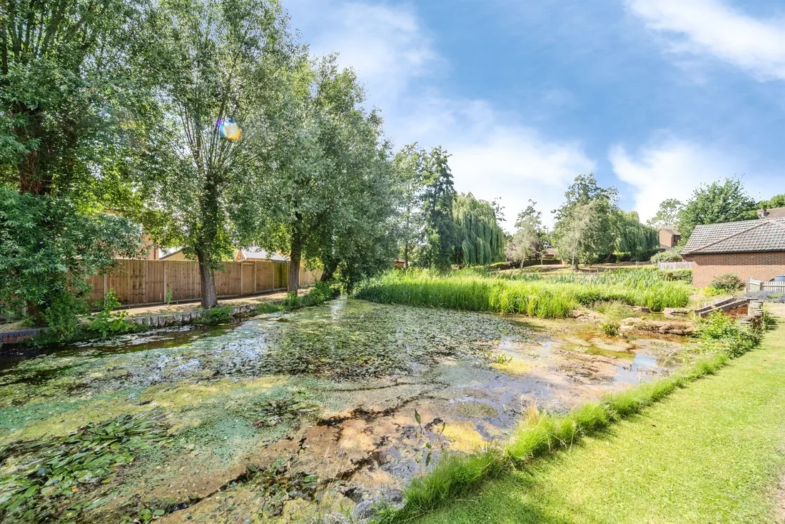 Property photo 21