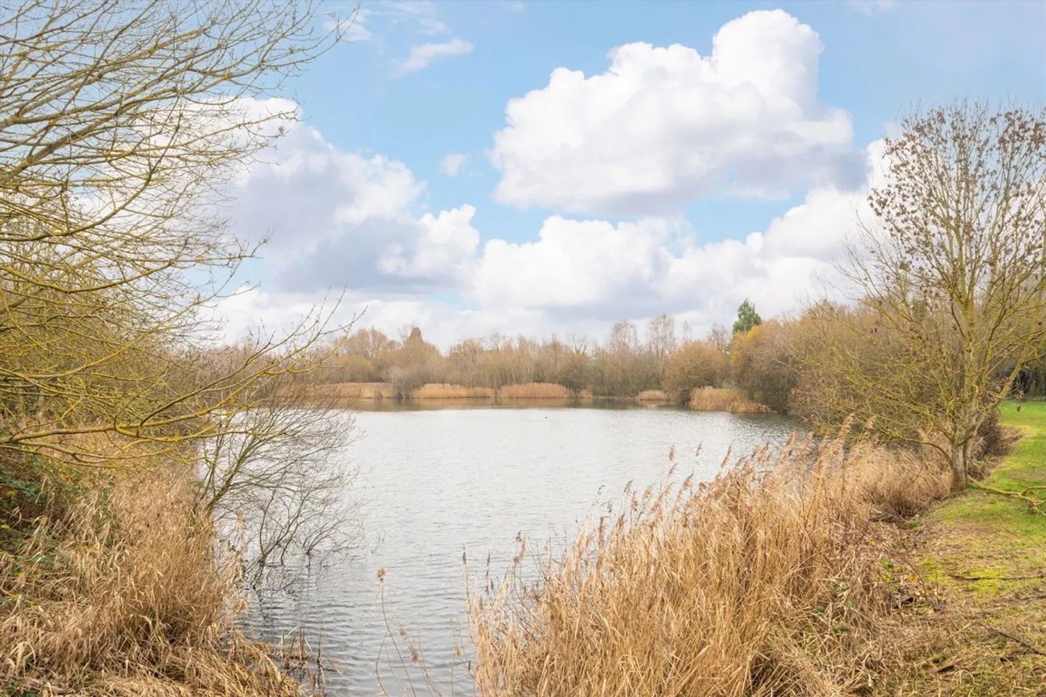 Gloucester Drive, Staines-Upon-Thames, TW18 photo 9
