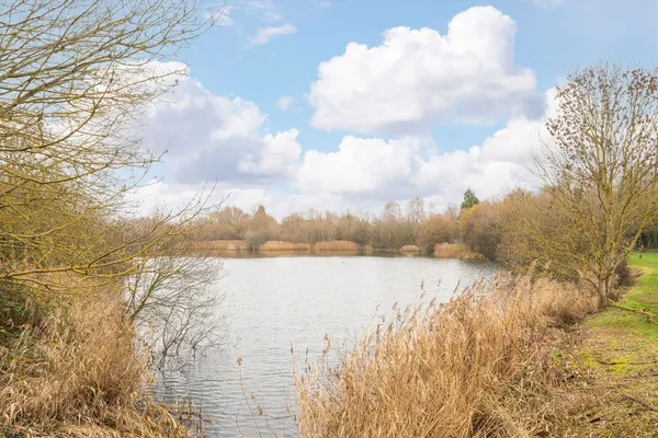 Gloucester Drive, Staines-Upon-Thames, TW18 photo 9