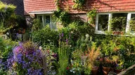 Property Slider Photo 5