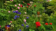 Property Slider Photo 31