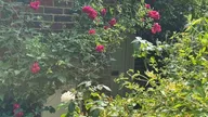 Property Slider Photo 43