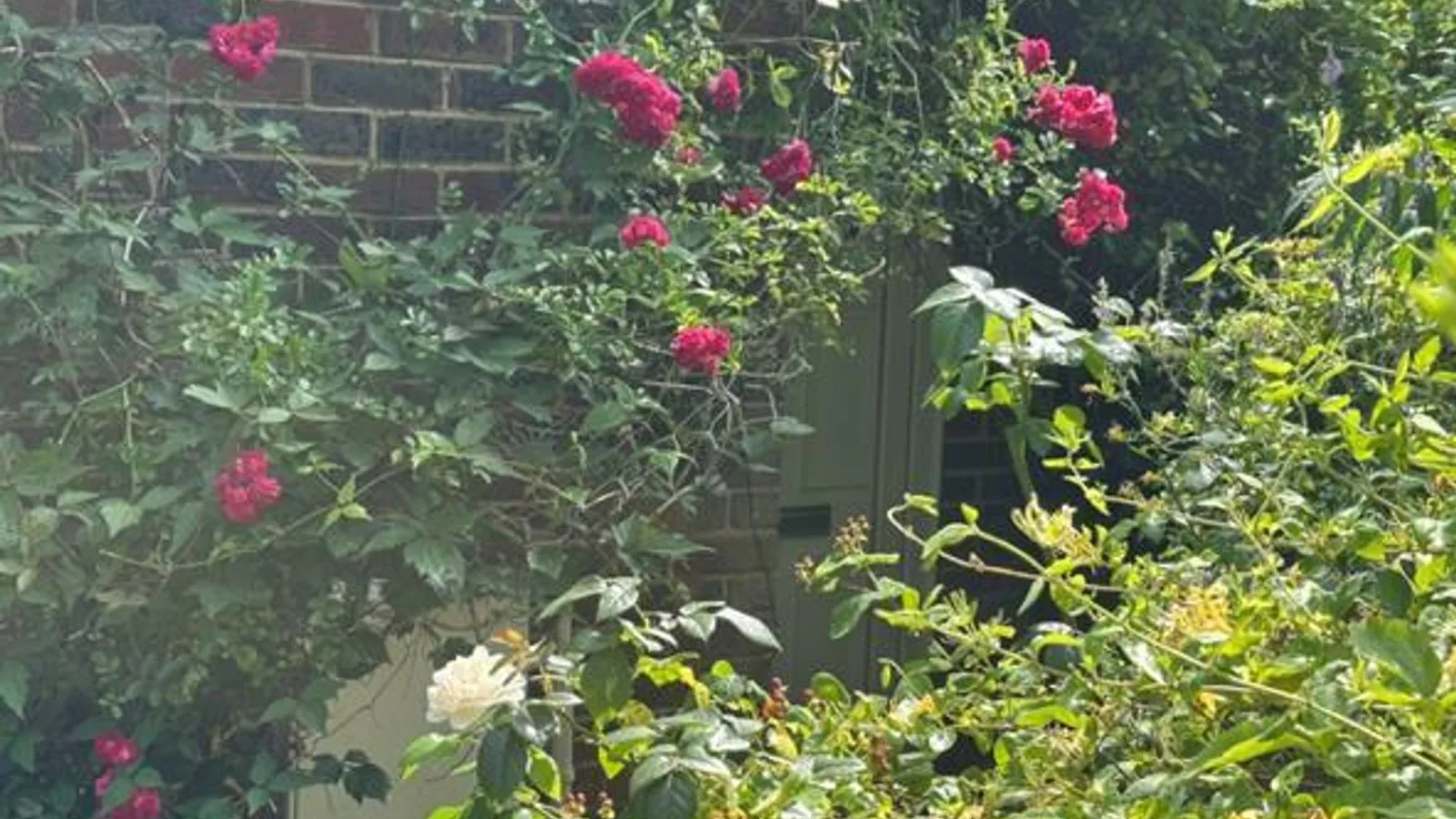 Property Photo 44