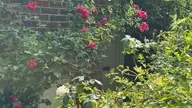 Property Slider Photo 44