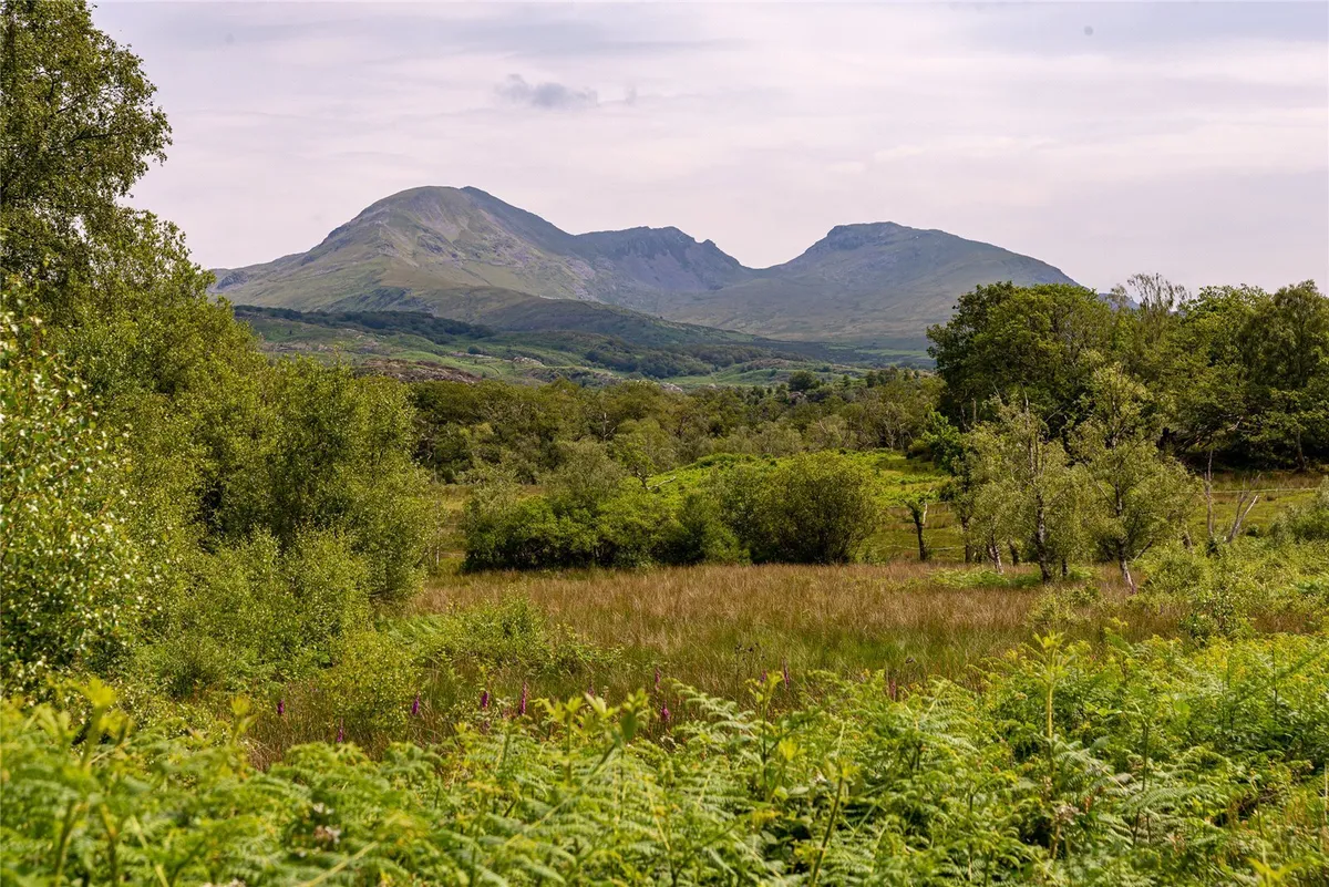 Nantmor, Caernarfon, Gwynedd, LL55