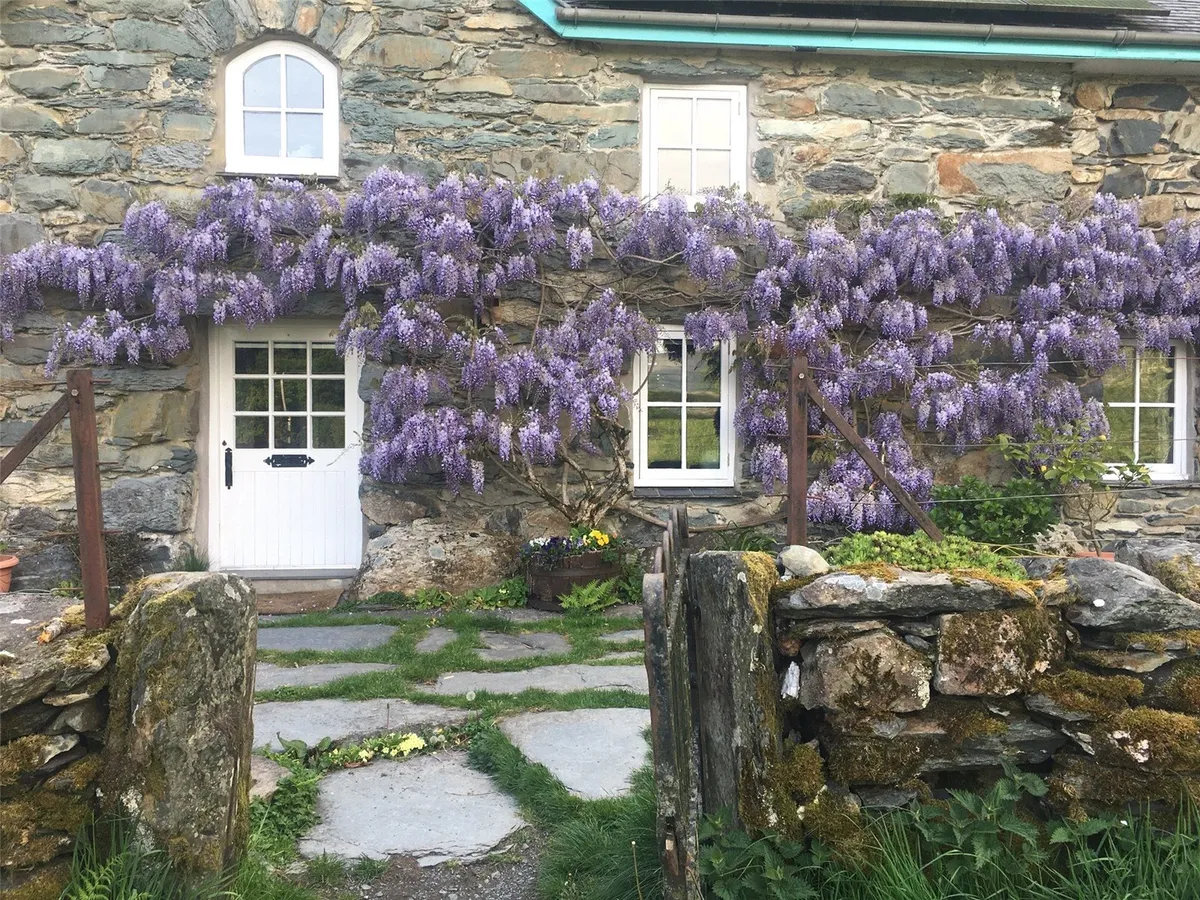 Nantmor, Caernarfon, Gwynedd, LL55