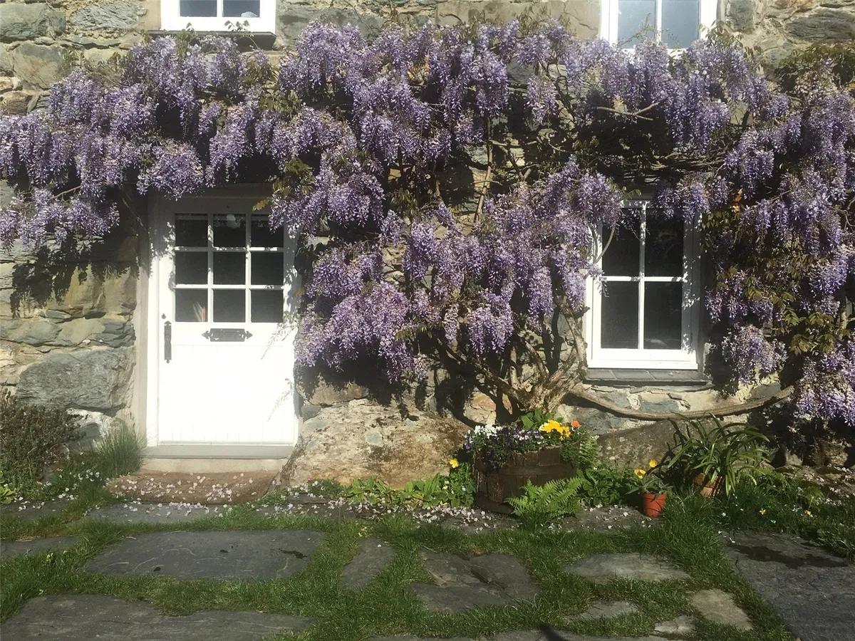Nantmor, Caernarfon, Gwynedd, LL55