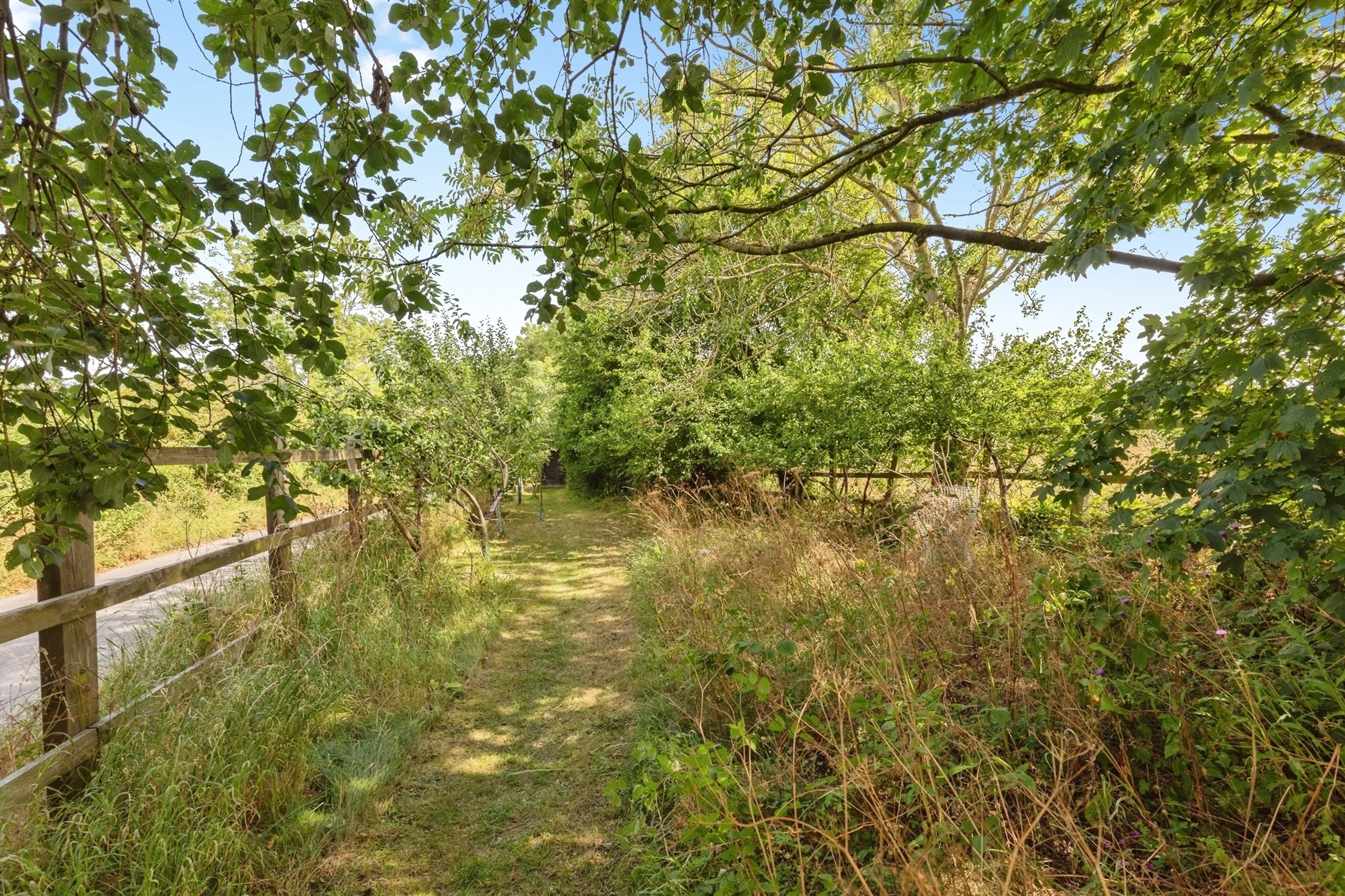 Property photo 26