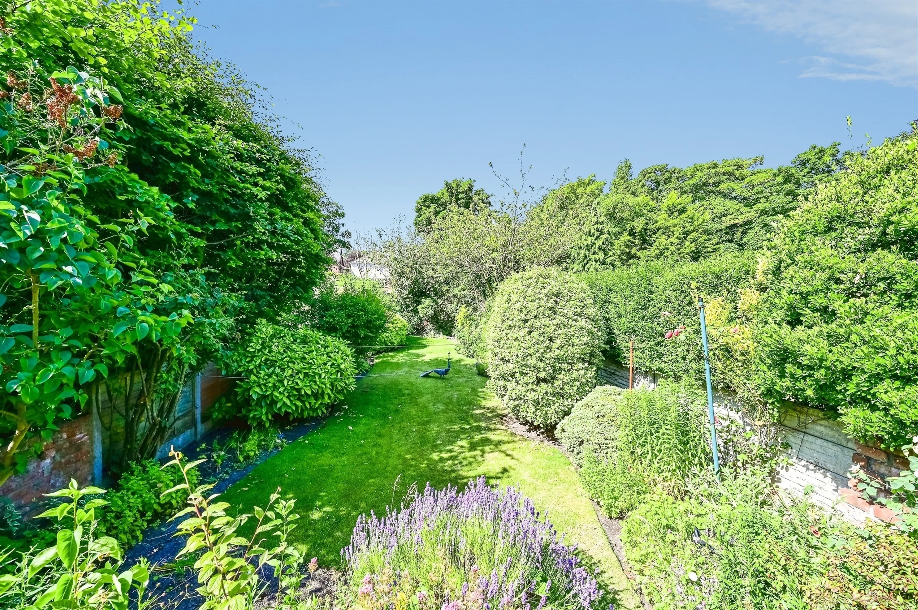 Property photo 19