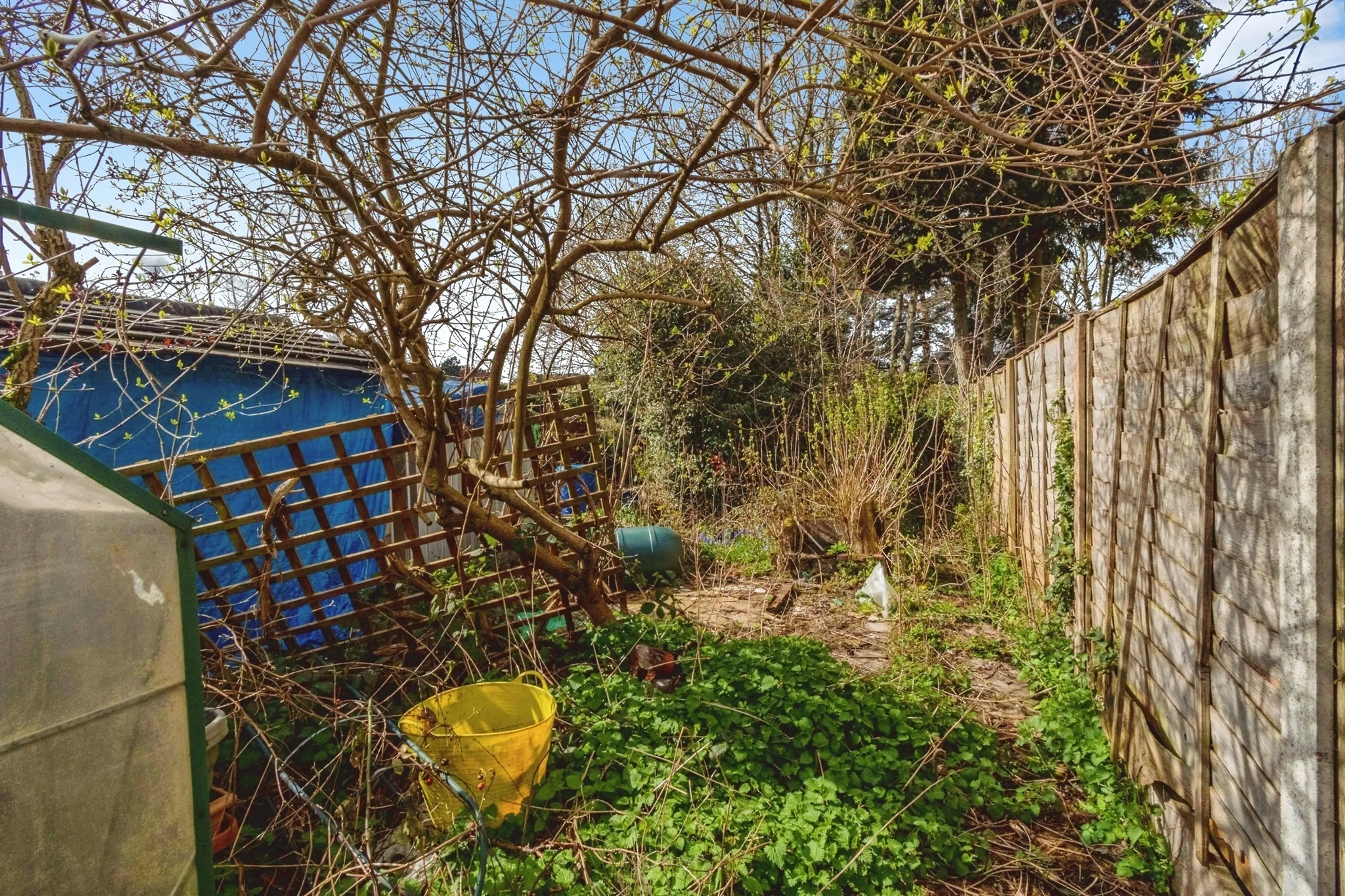 Property photo 16