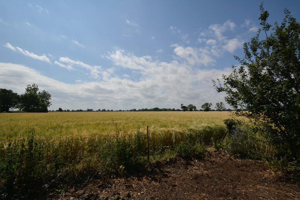 Grub Lane, Spexhall Image 23