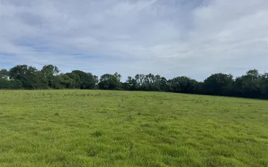 Dunkeswell, Honiton