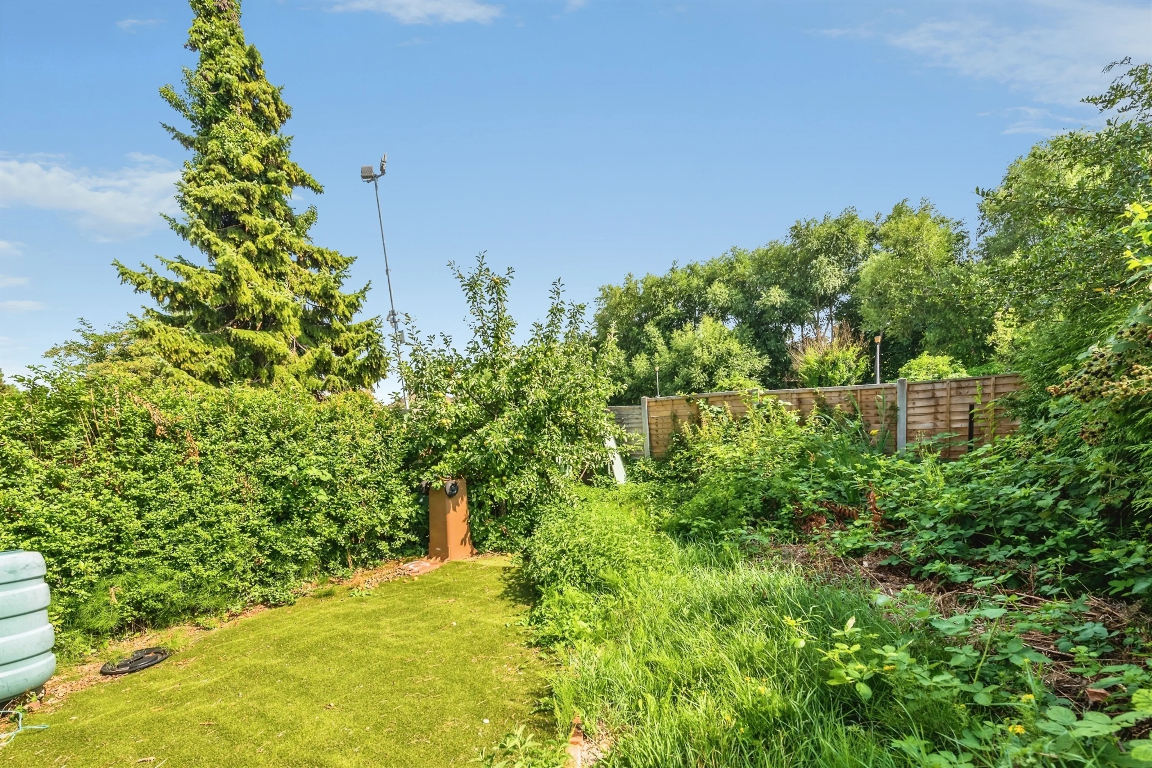 Property photo 12