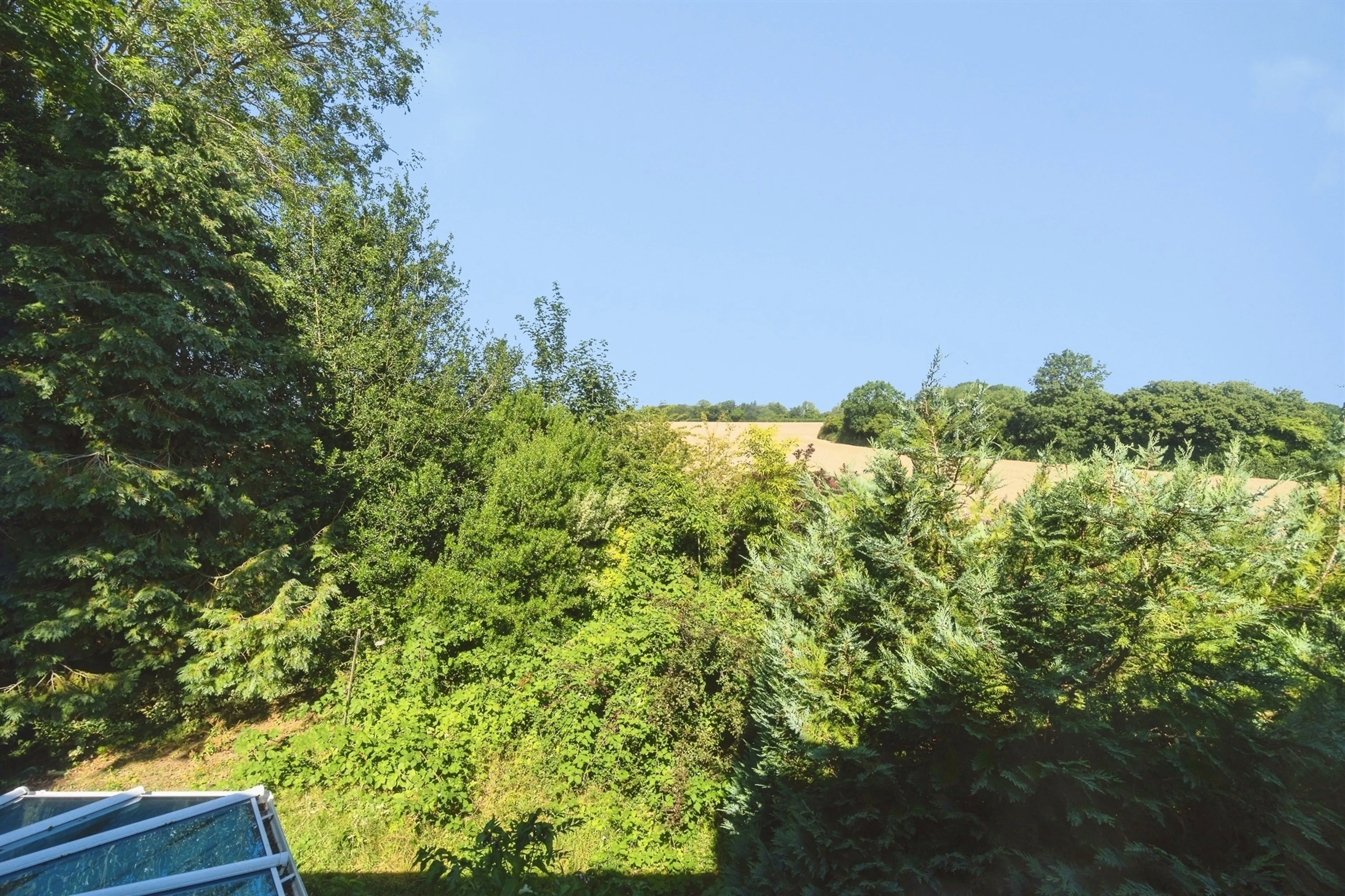 Property photo 24