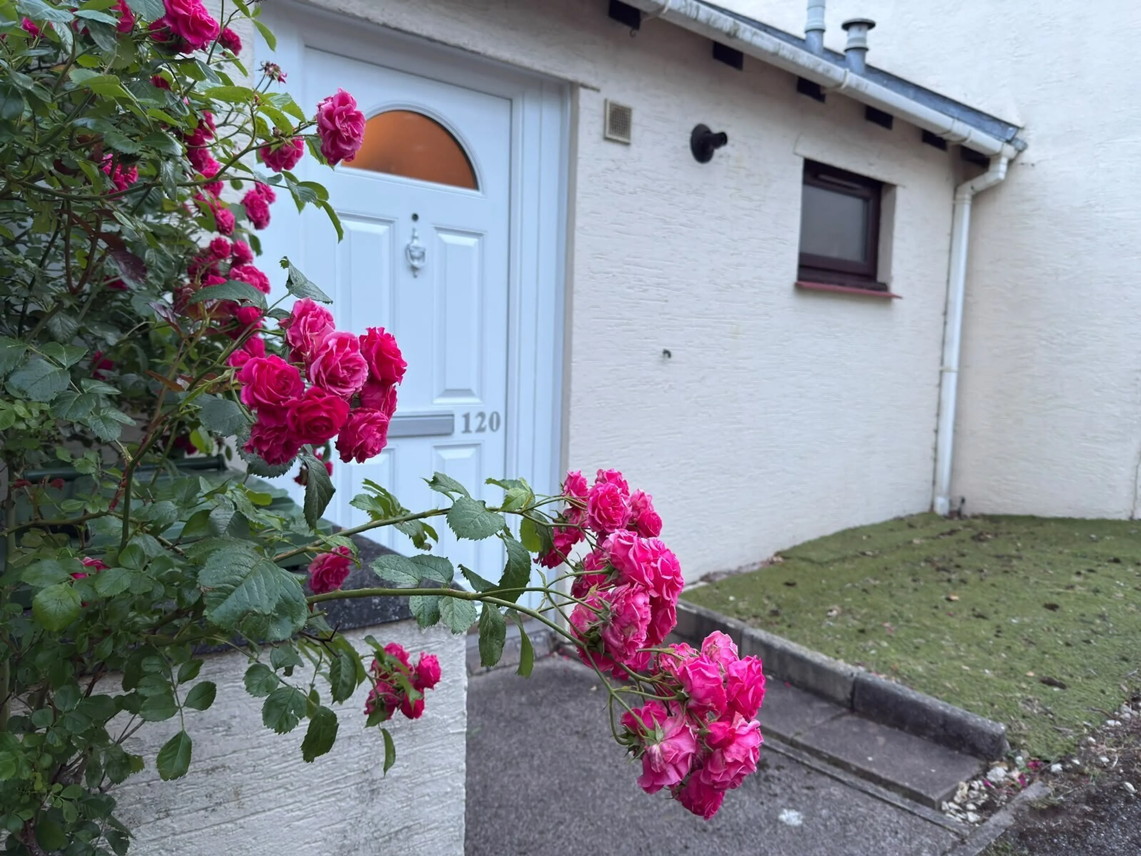 Property photo 13