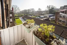 Bromyard Avenue London W3 photo 8