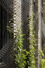 Rockbourne Mews London SE23 photo 22