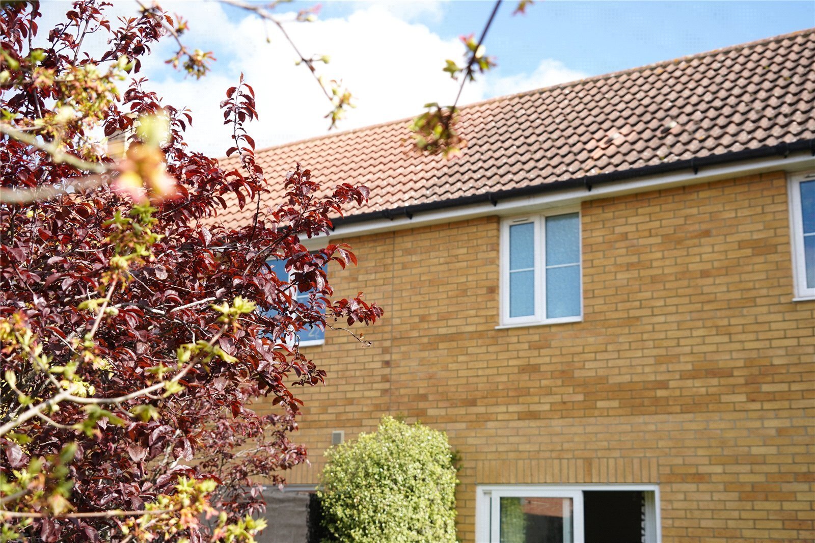 Thistle Way, Red Lodge, Bury St. Edmunds, Suffolk, IP28 Image 18