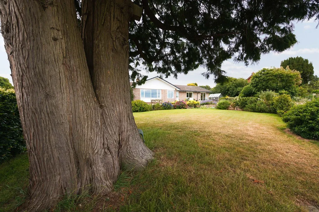 https://mr0.homeflow-assets.co.uk/files/photo/image/47819/2416/_x_/DSC_2094-55.jpg