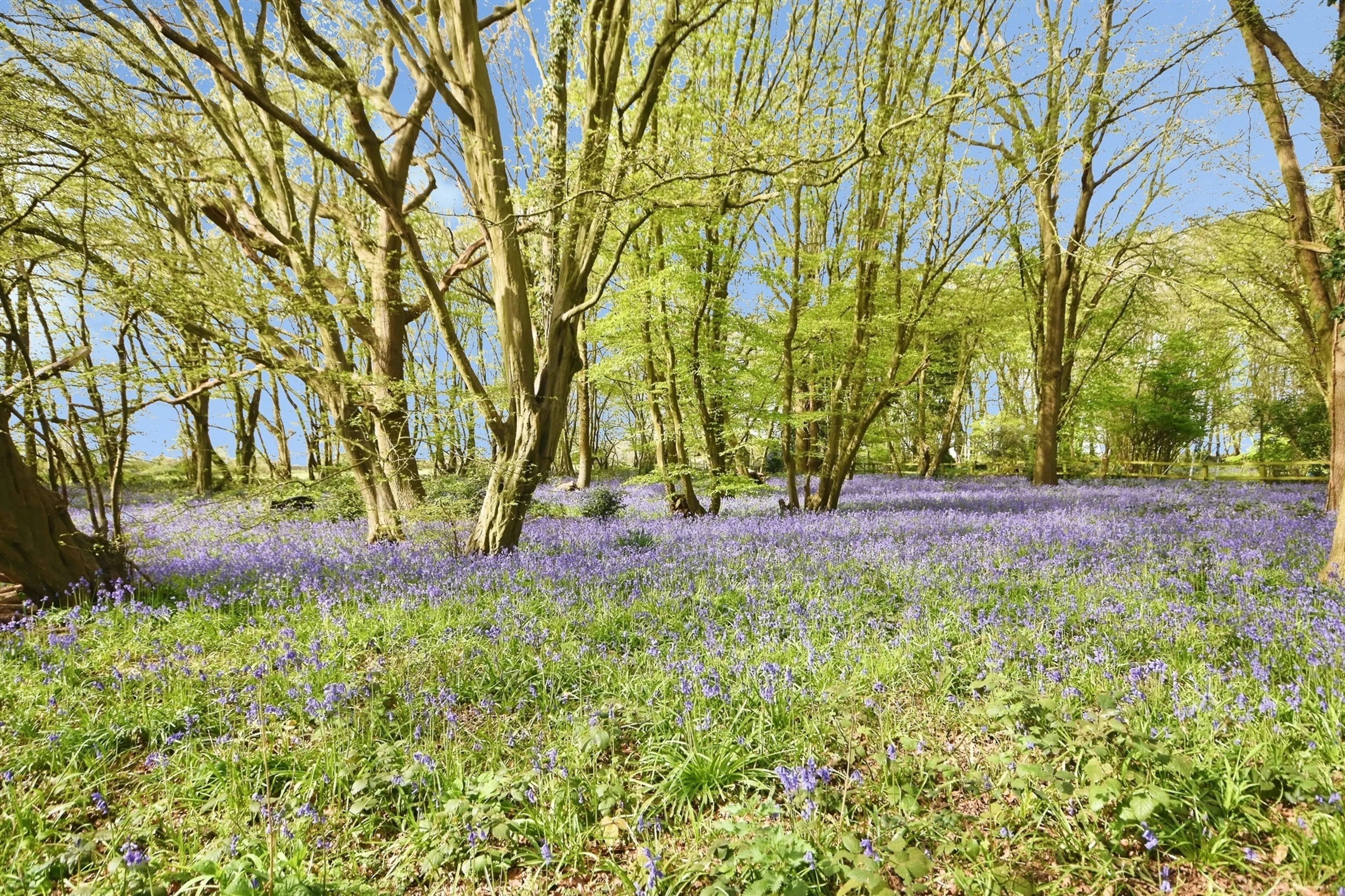 Property photo 16