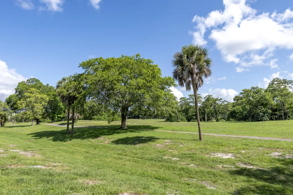 6061 N Falls Cir Dr, Lauderhill, FL 33319