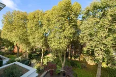 Wetherby Gardens London SW5 photo 4