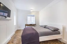 Udall Street London SW1P photo 6