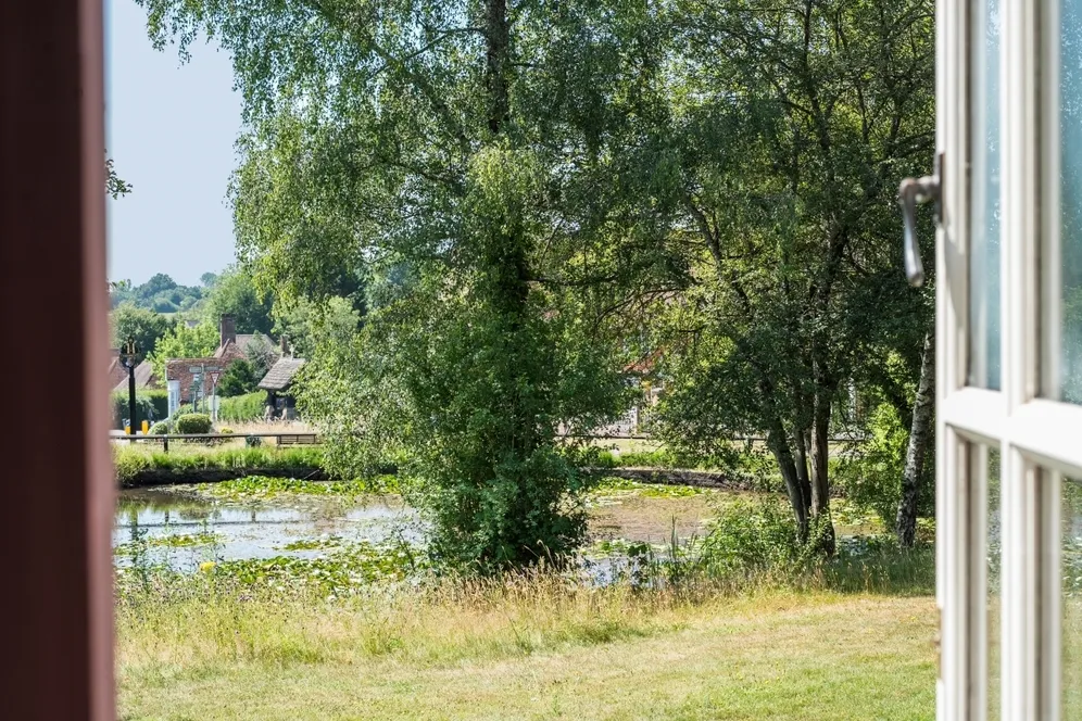 Petworth Road Godalming GU8 photo 10