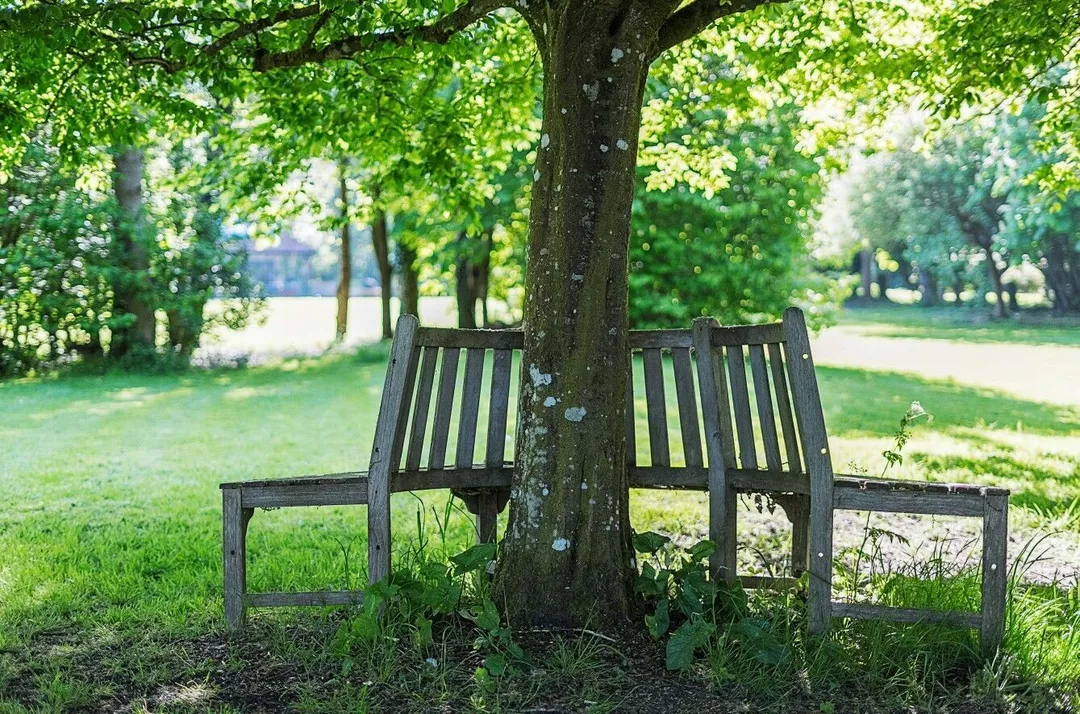 https://mr0.homeflow-assets.co.uk/files/photo/image/47841/0199/_x_/49311819.jpg