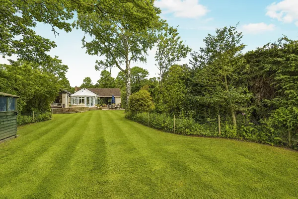 Forest Lane, East Horsley, Leatherhea...