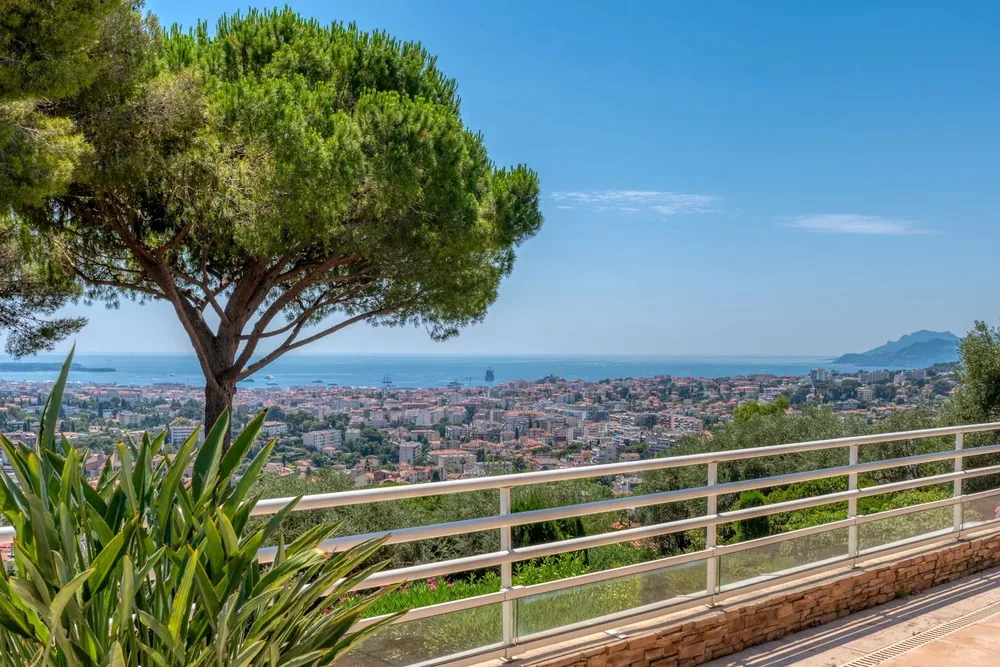 Cannes, 06110, France