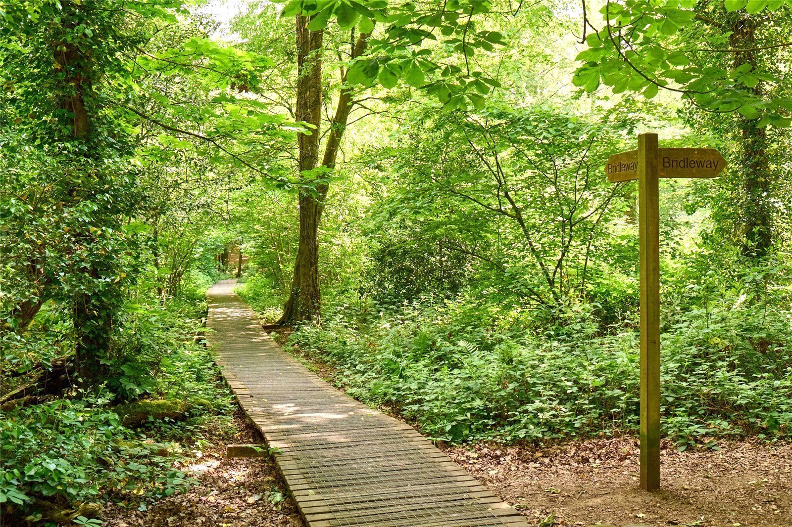 The Green, Bolley Avenue, Bordon, GU35 Image 15
