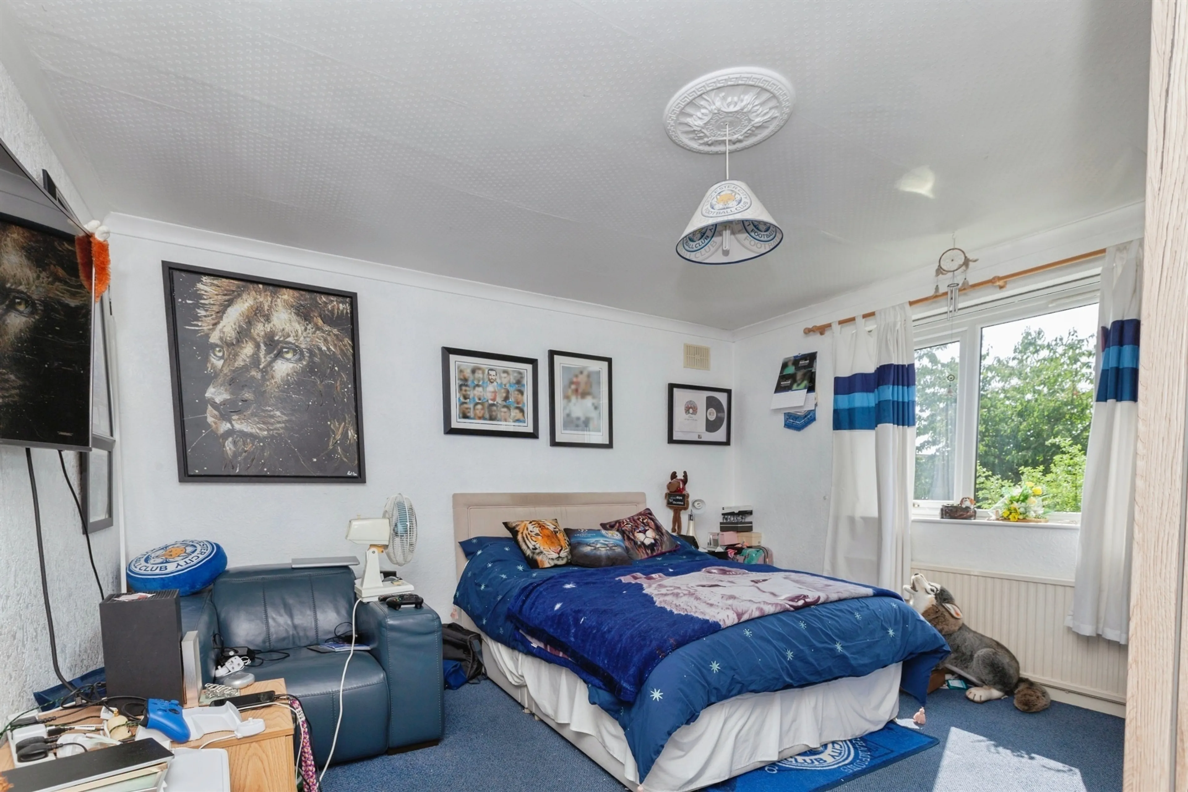 Property photo 13