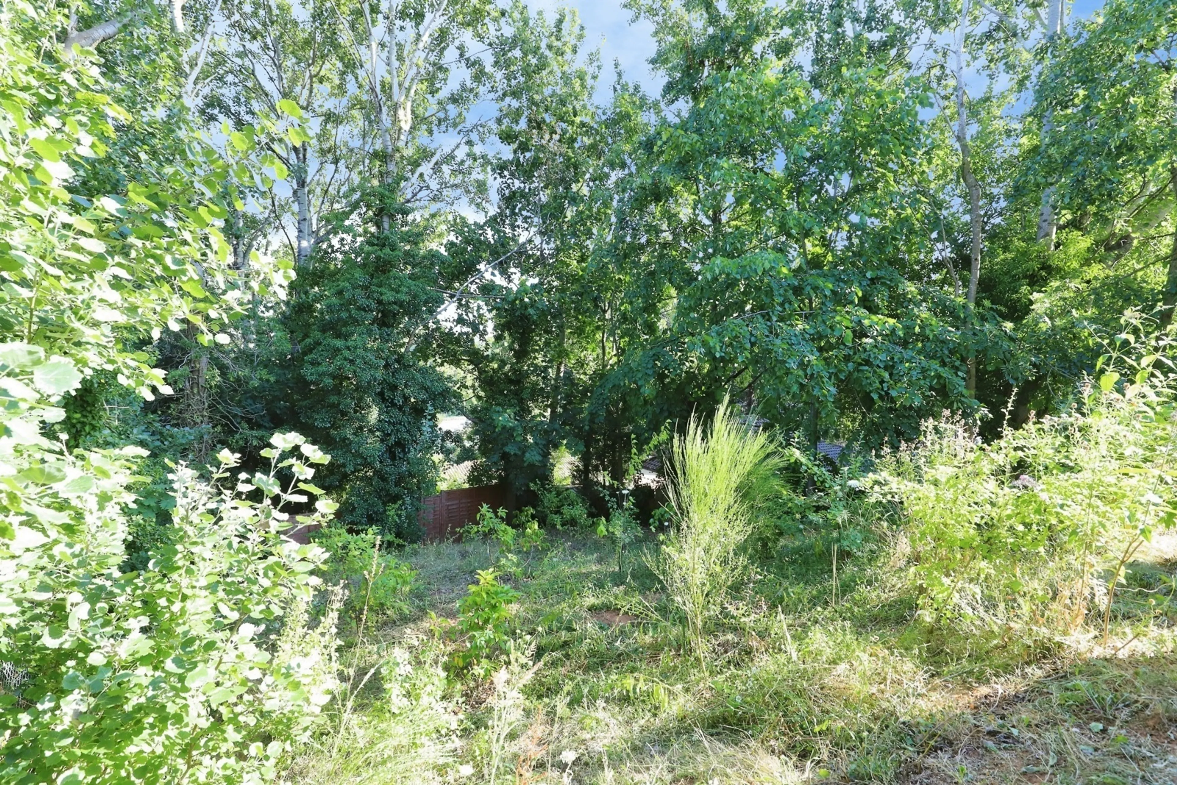 Property photo 21