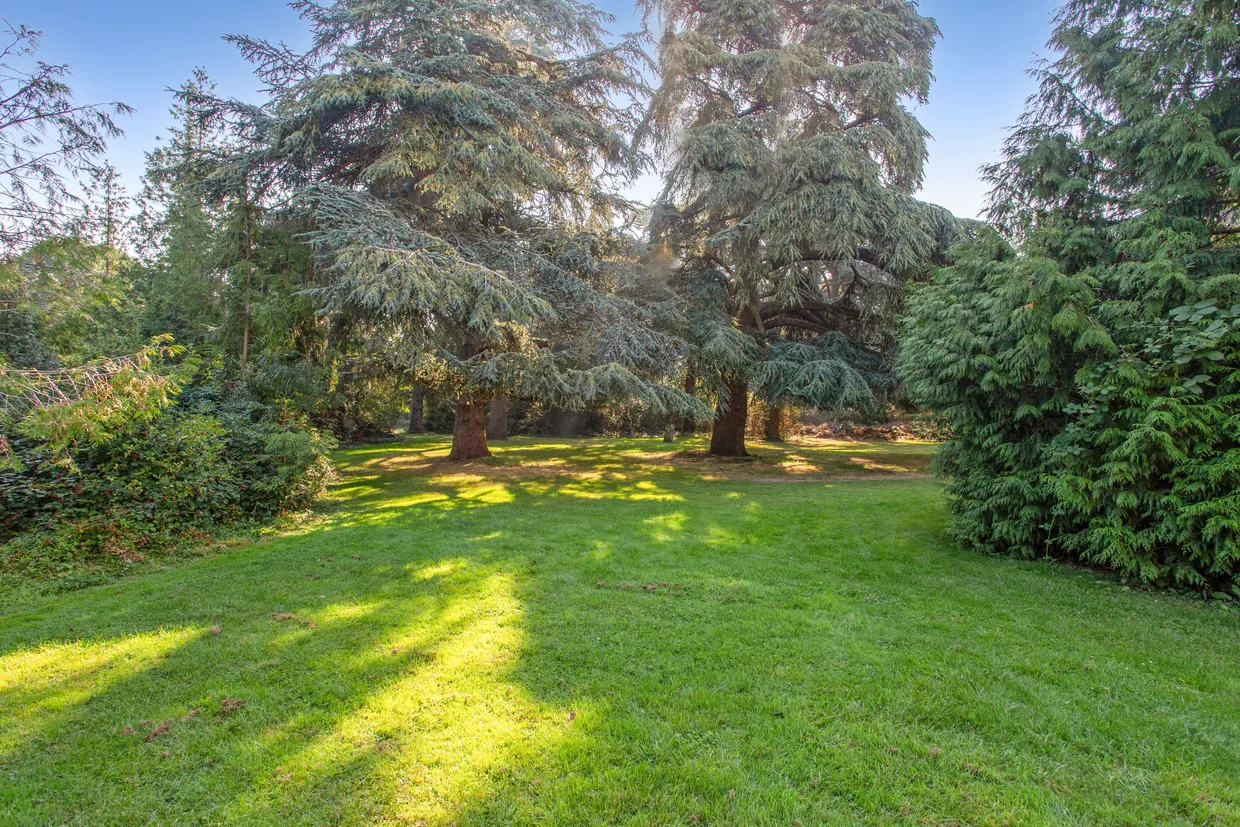 Longbourn, Windsor, SL4 photo 8