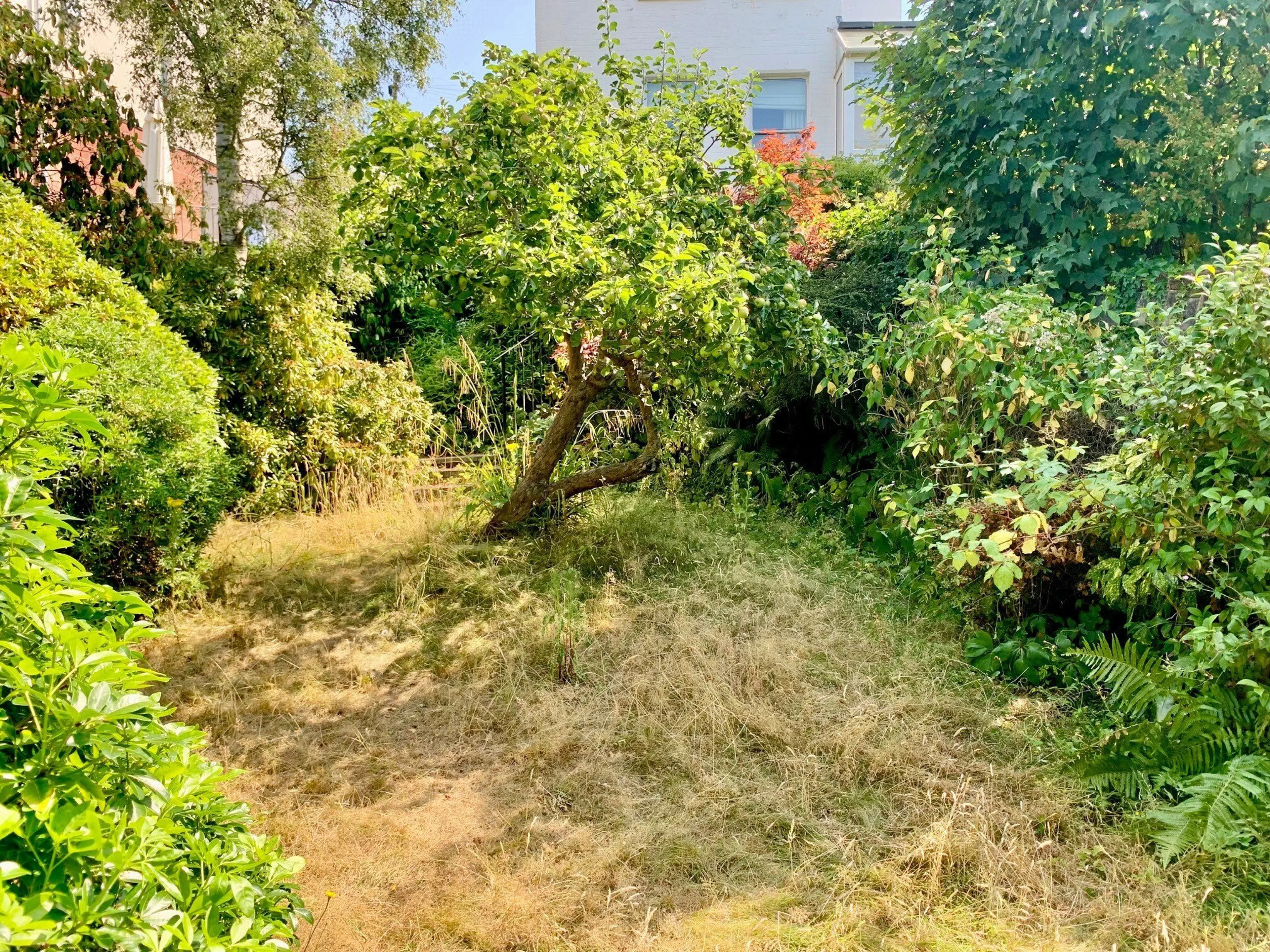 Property photo 14