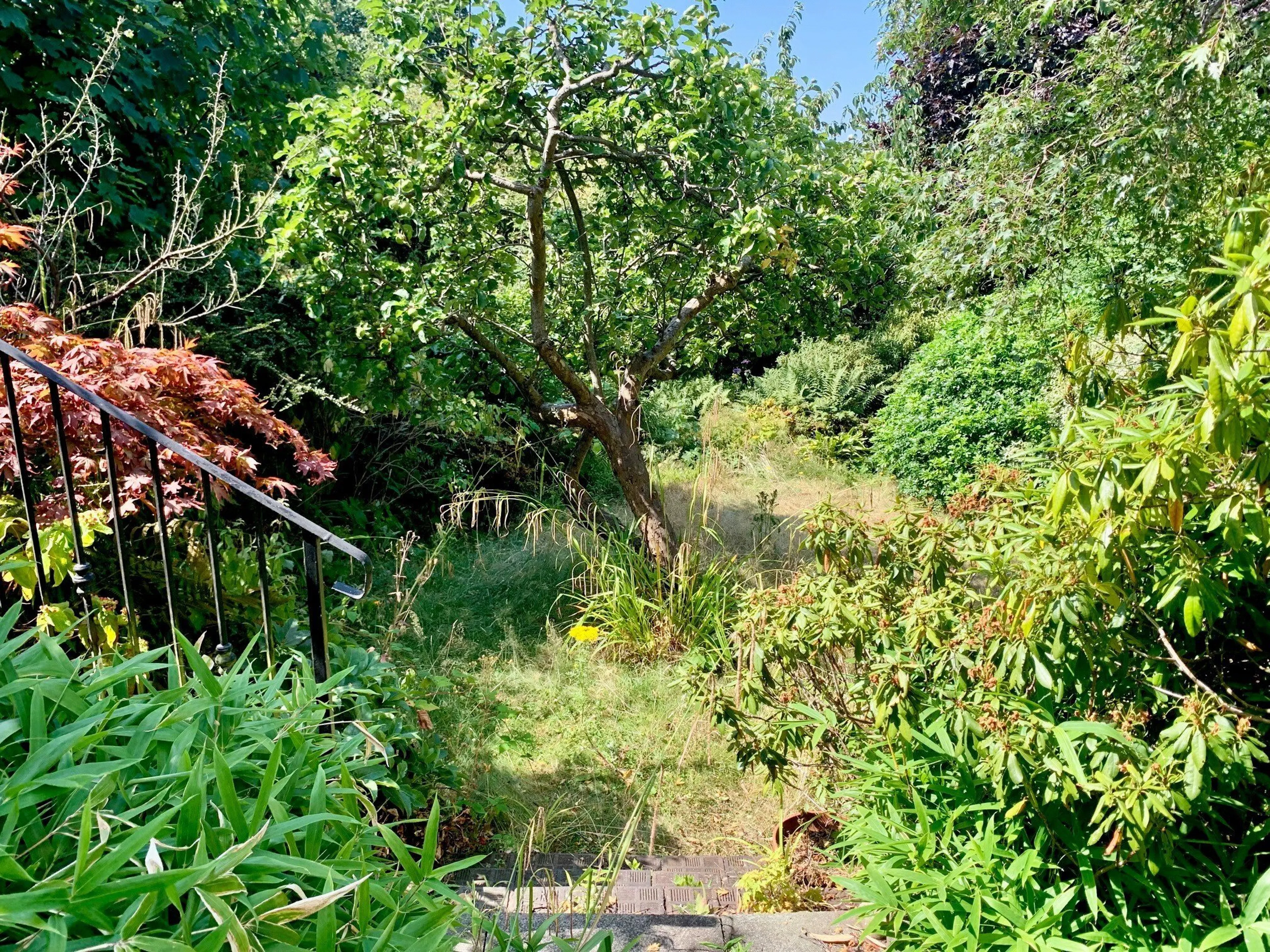 Property photo 15