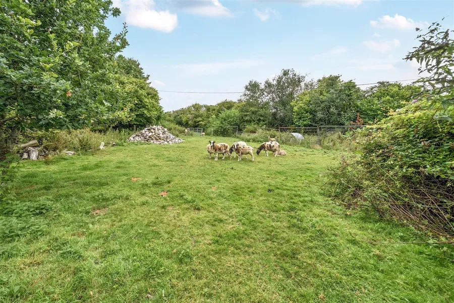 Property Image 27