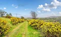 Property image gallery