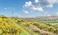 Property image gallery