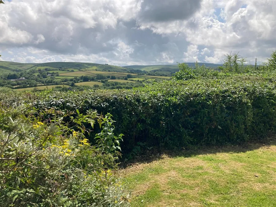 Property Image 44