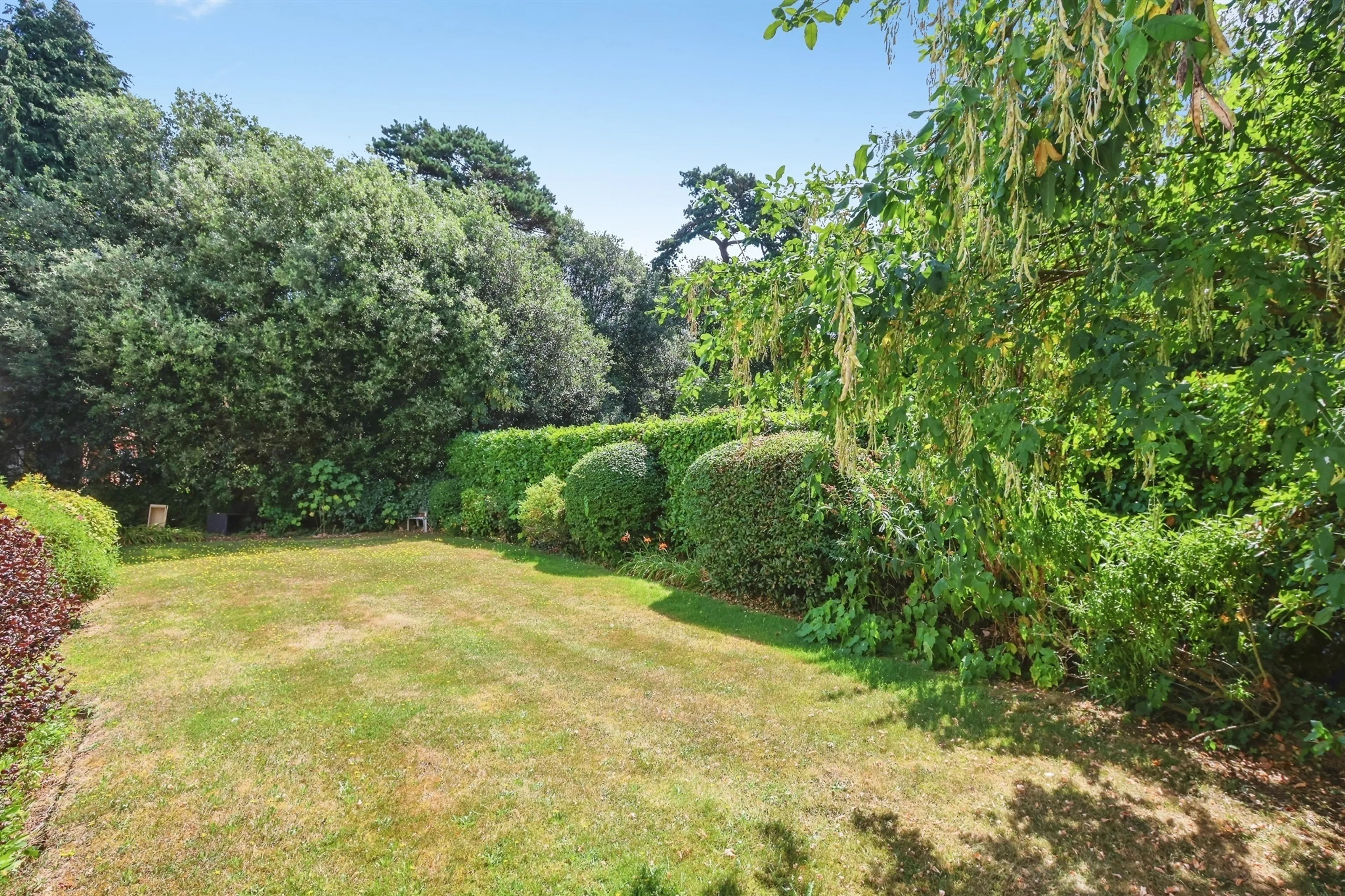 Property photo 12