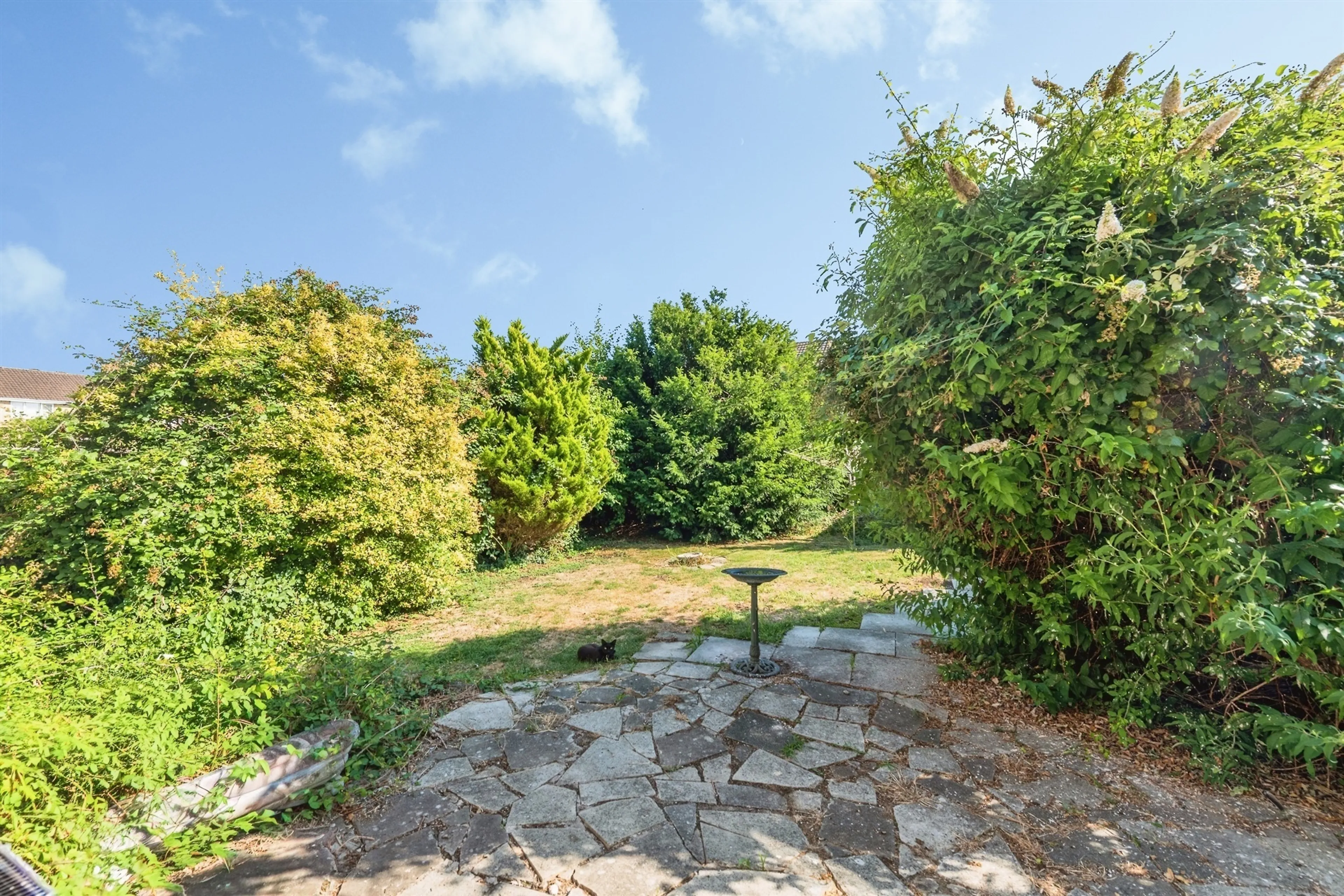 Property photo 12